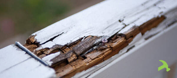 deck rail with dry rot